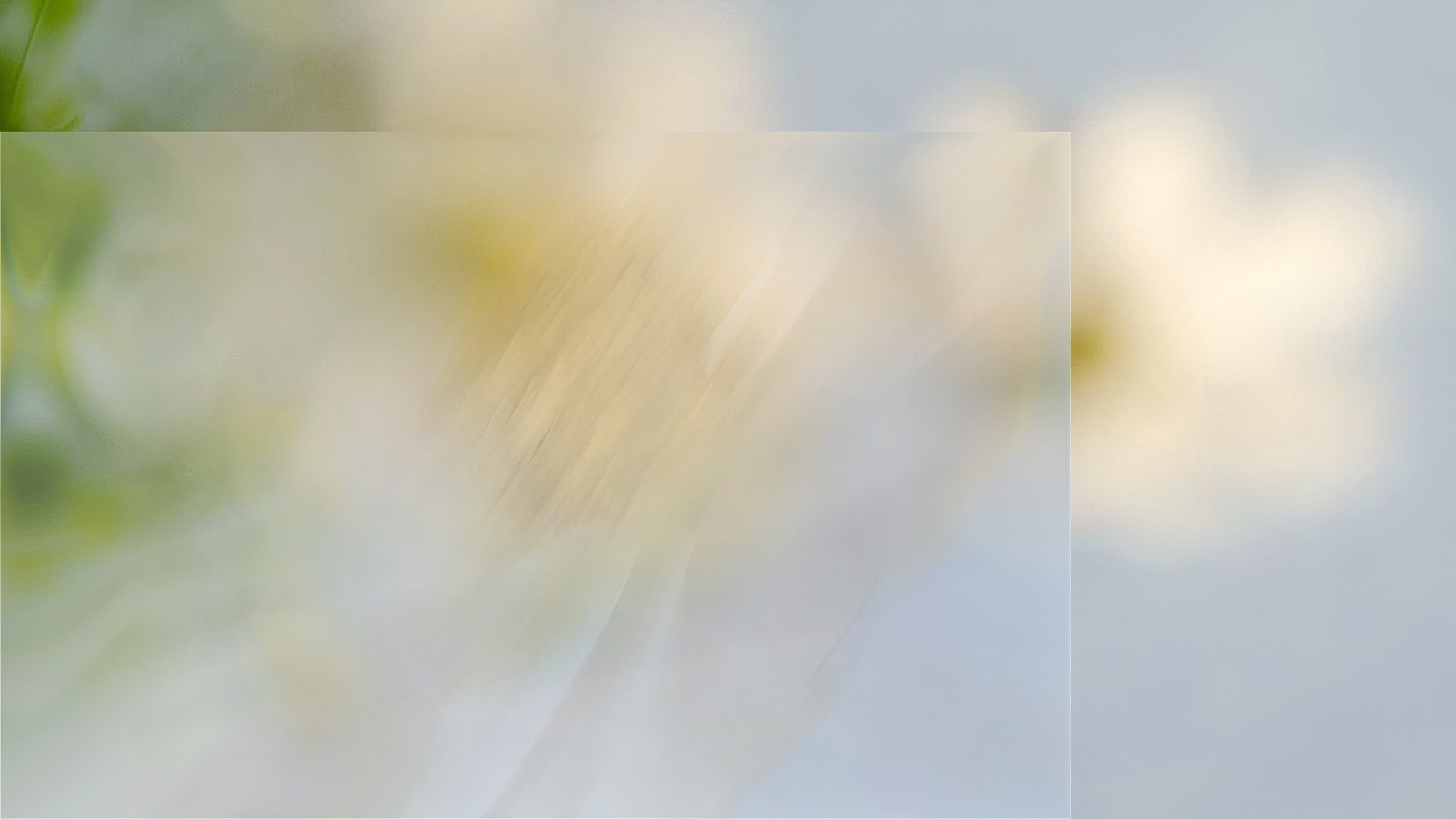 Drop Edition footer