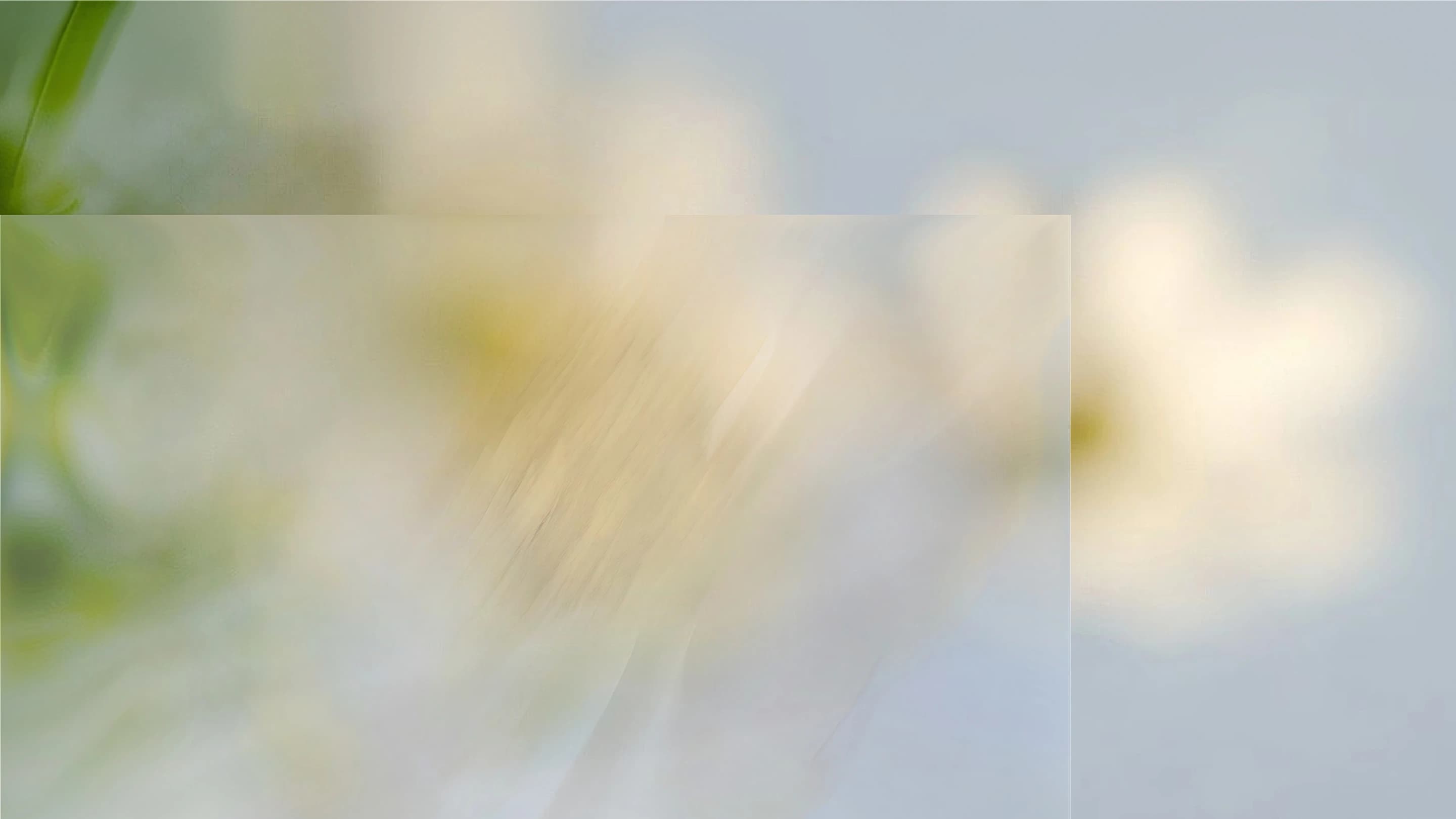 Drop Edition footer